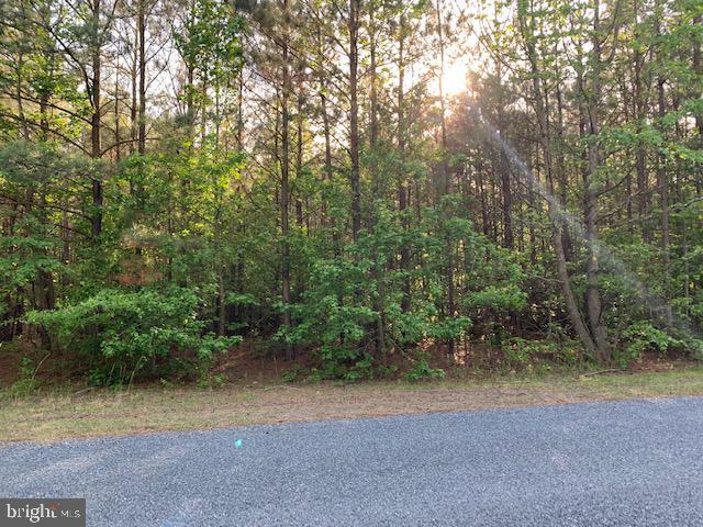 0 Cox Road - Photo 1