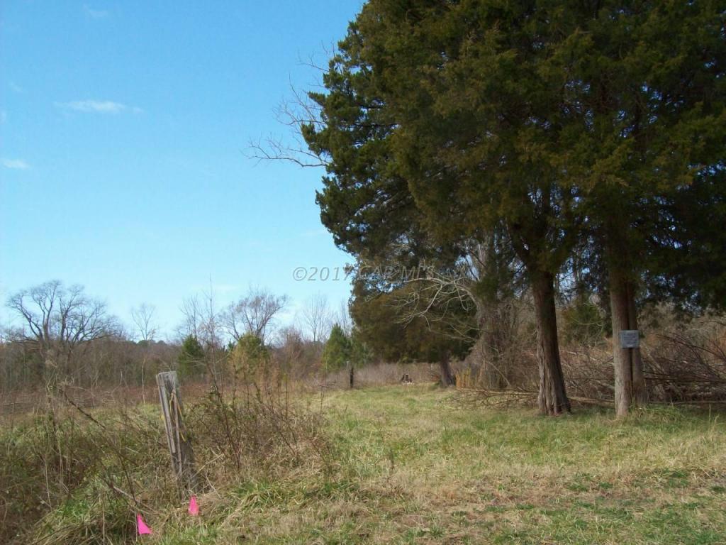 3450 Texas Road - Photo 1
