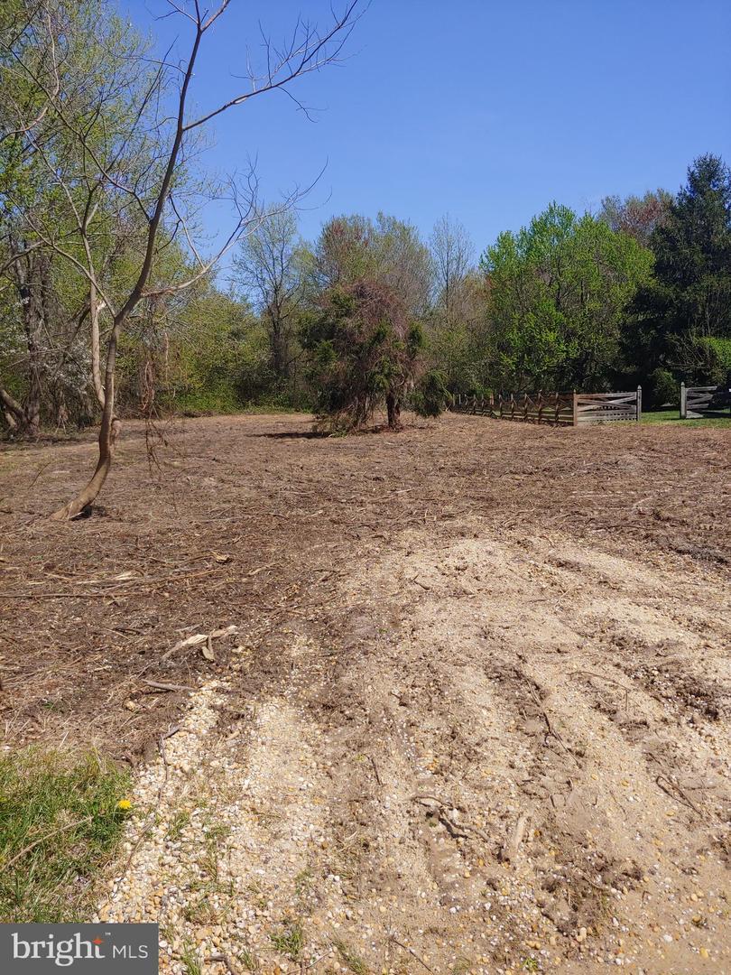 309 Columbia Lane - Photo 1