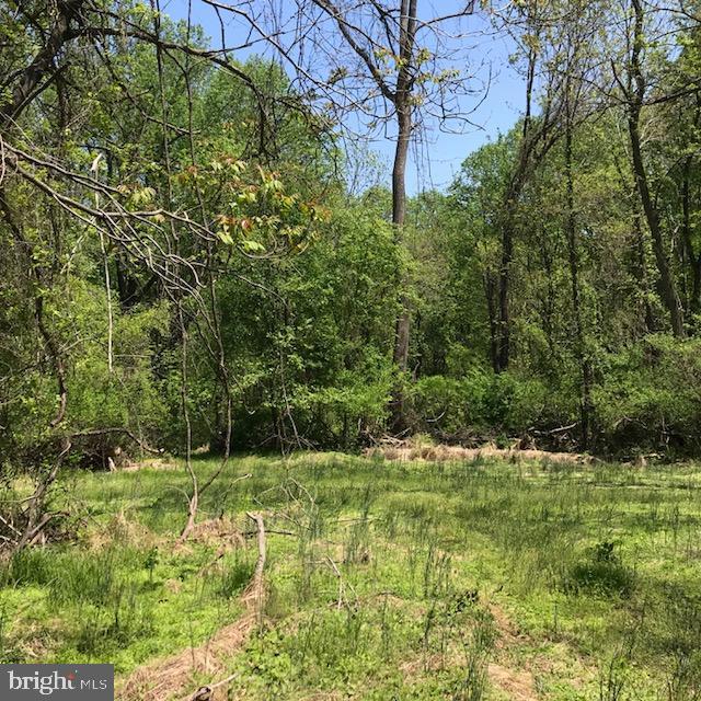 02 Brighton Dam Road - Photo 1