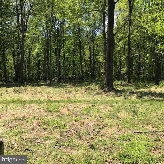 03 Brighton Dam Road - Photo 1