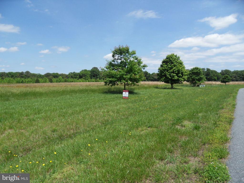 Wrights Rest Road - Photo 1