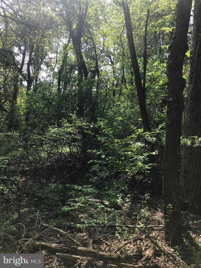 125 Sour Mash Trail - Photo 1 125 Sour Mash Trail - Photo 1
