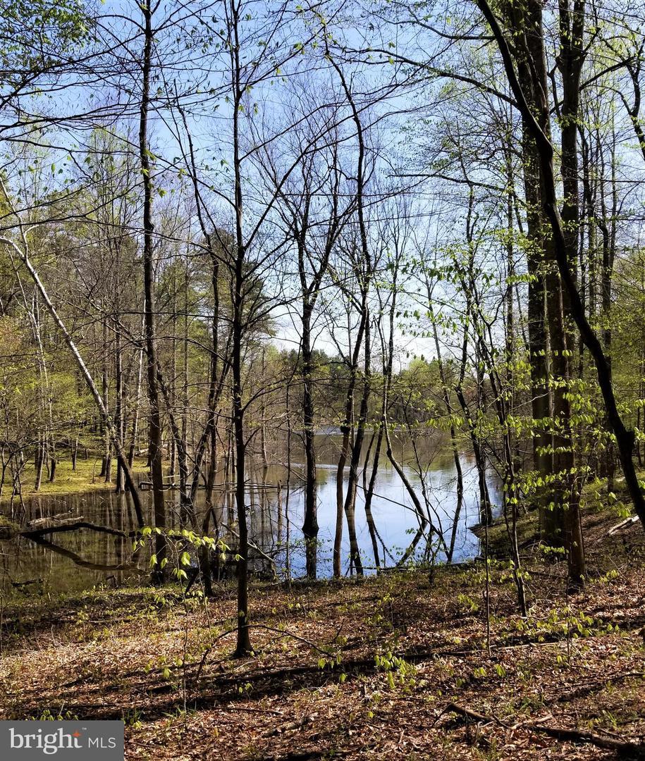 Lot 1D Wilhoits Mill Road - Photo 1