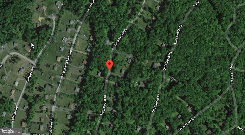 Tulip Poplar Drive - Photo 1