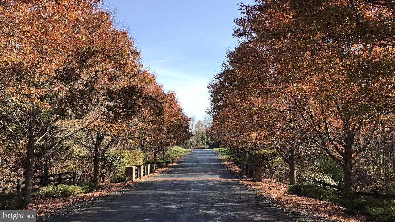 15101 Riding Club Drive - Photo 1