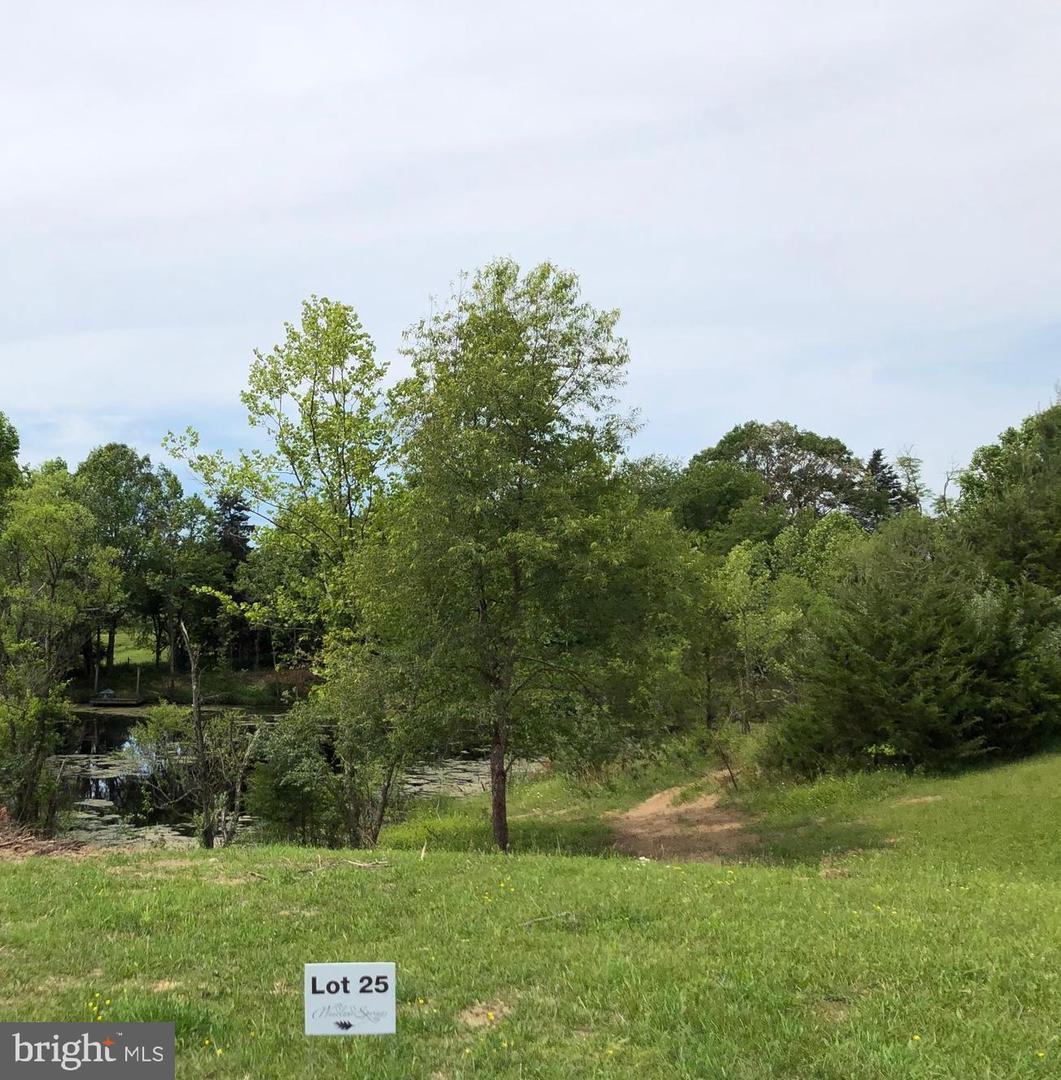 Lot 25 Springwood Lane - Photo 1
