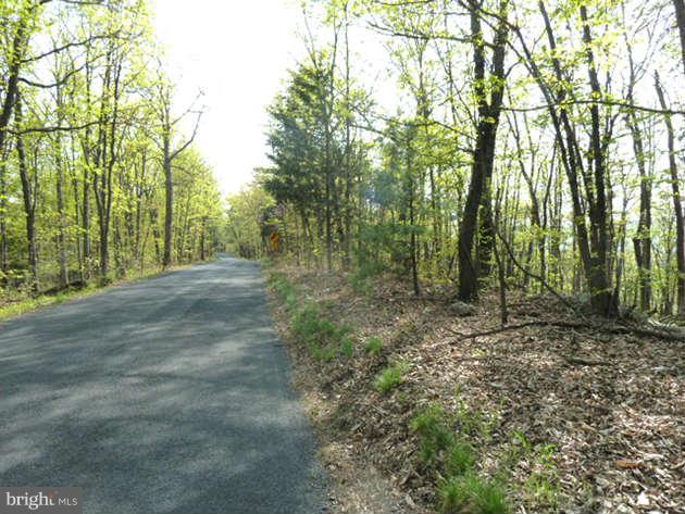 0 Supinlick Ridge Road - Photo 1