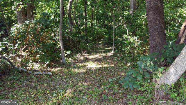 4330 Dares Beach Road - Photo 1