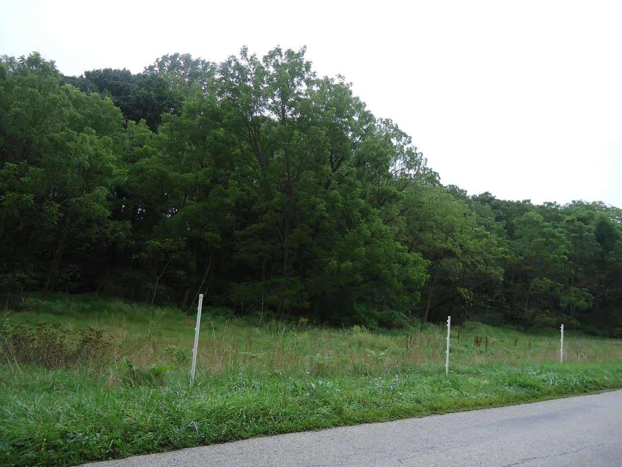 0 Kirchner Road - Photo 1
