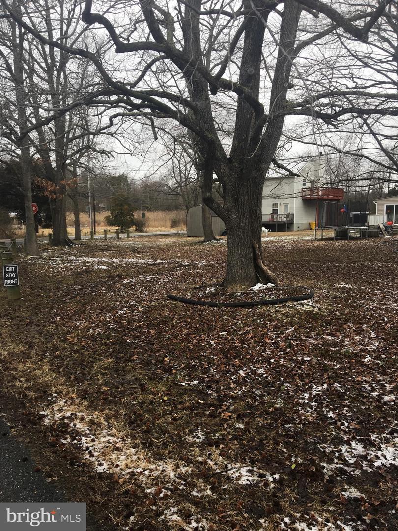 1504 Columbia Drive - Photo 1