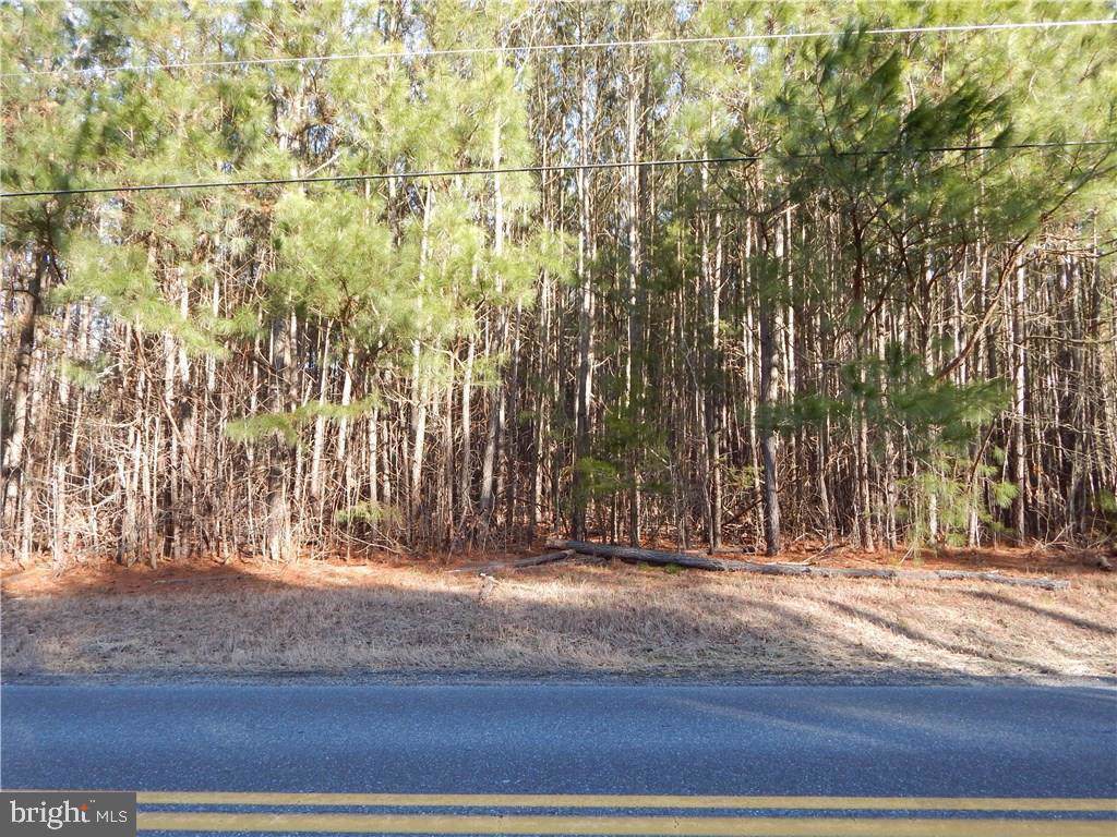 Conley Chapel Rd. - Photo 1 Conley Chapel Rd. - Photo 1