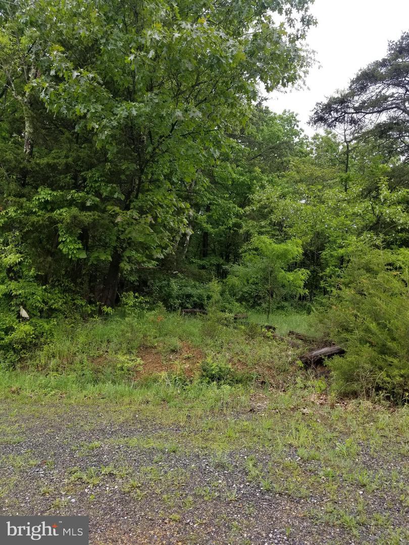 Park Road - Photo 1