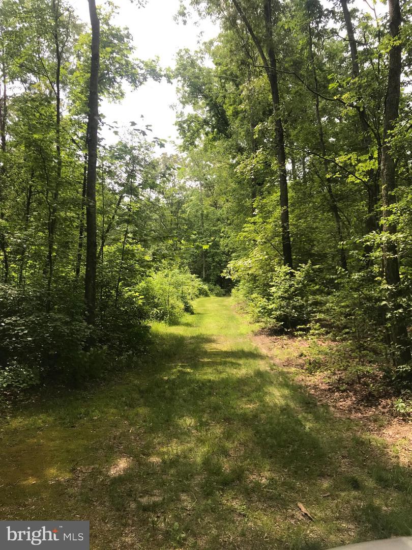 0 Trunkline Road - Photo 1
