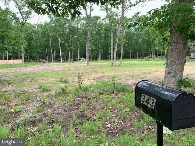 343 Atsion Road - Photo 1