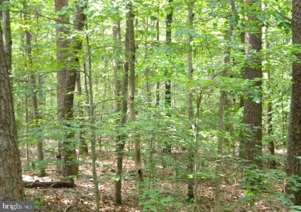 LOT 646 Dogwood Dr - Photo 1