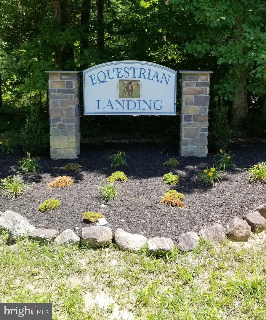 Equestrian Landing Trail - Photo 1