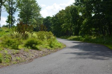 82 Straw Hollow - Photo 1