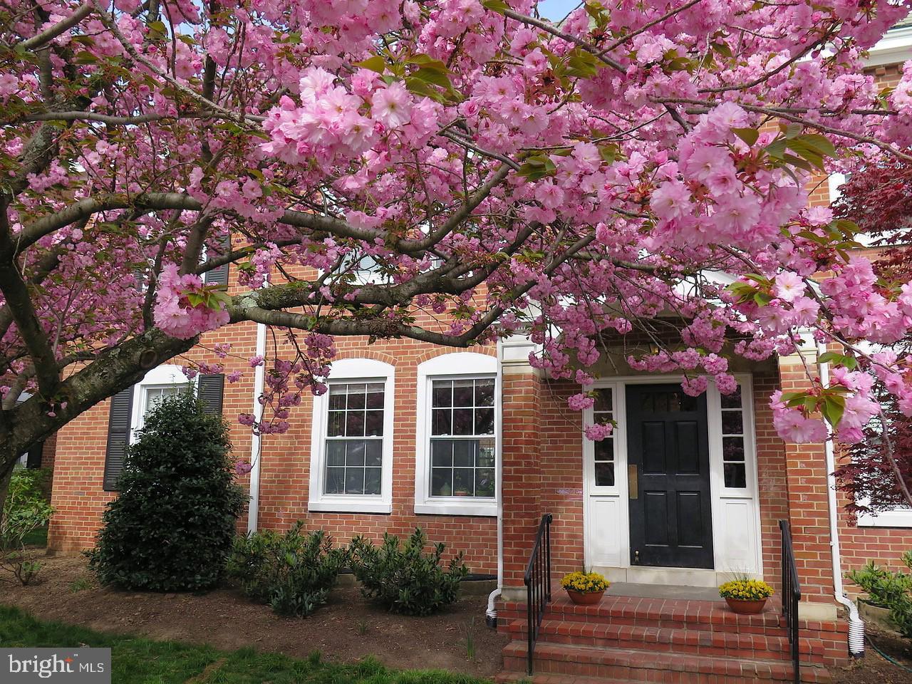 4520 36TH Street - Photo 1