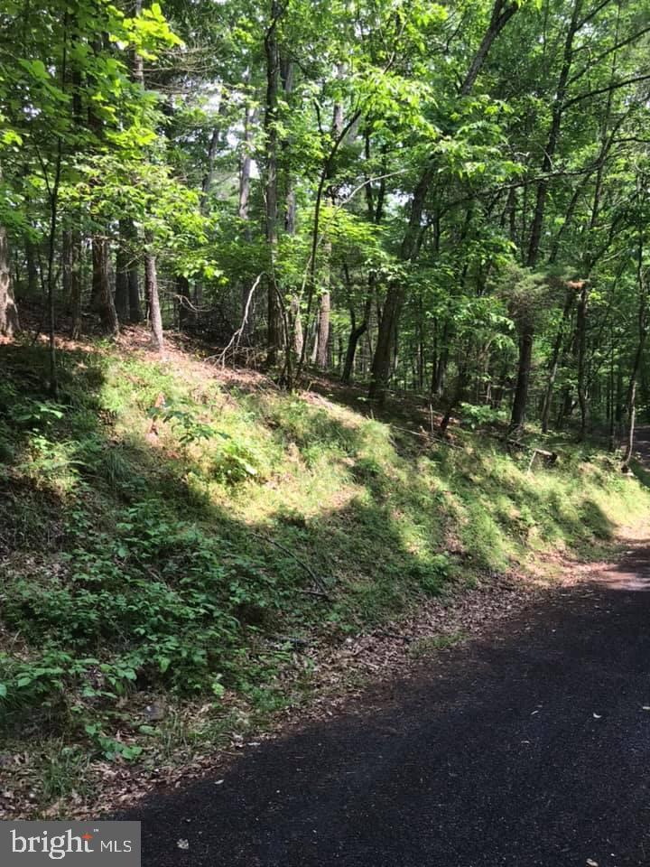 LOT 299 Breckenridge - Photo 1