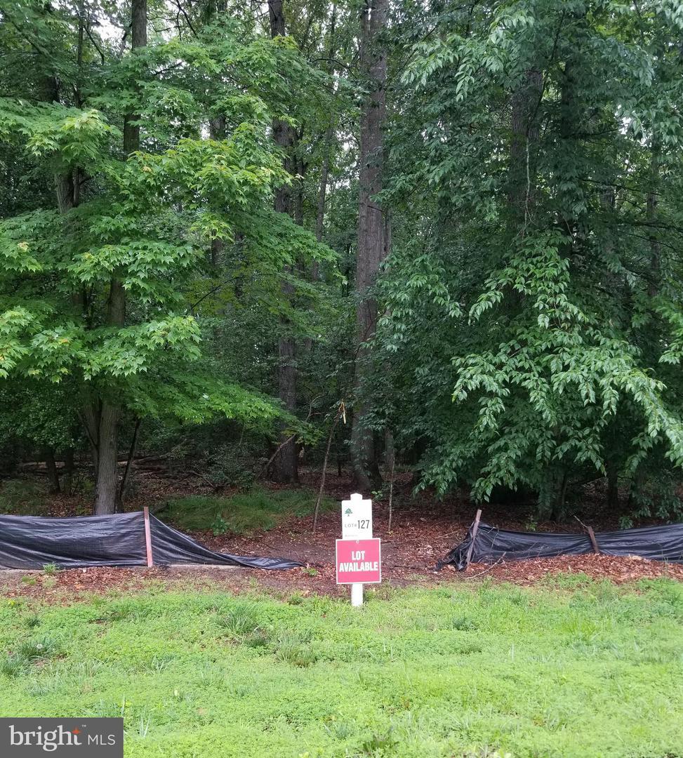 29348 River Rock Court - Photo 1