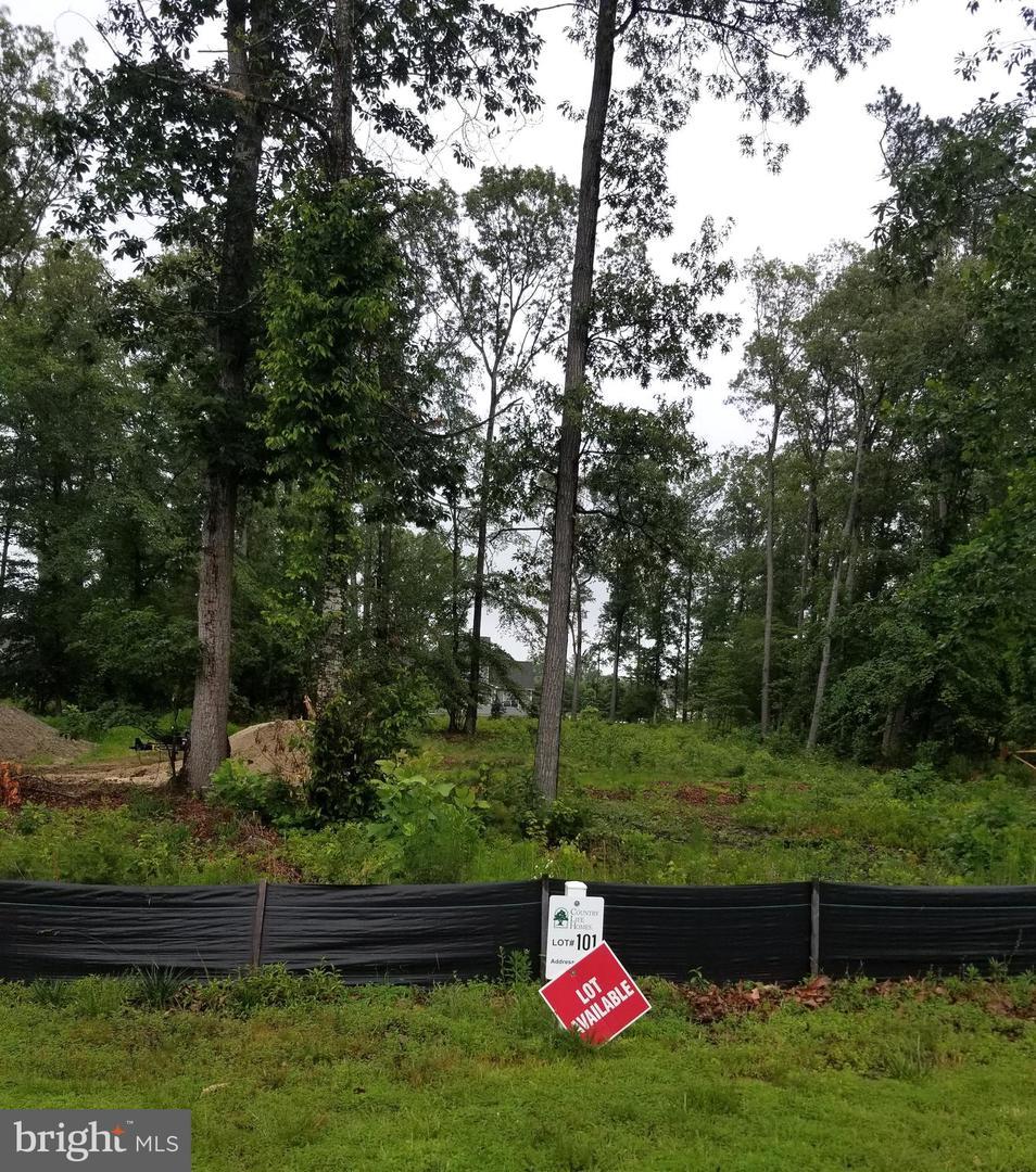 28850 Sandy Banks Way - Photo 1