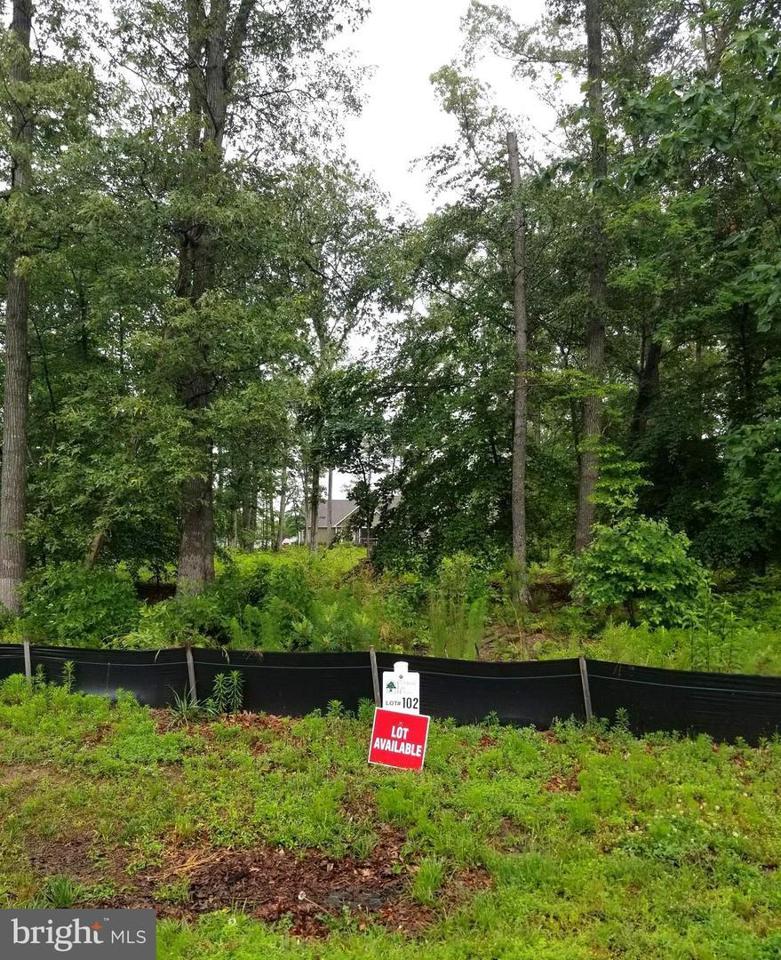 28856 Sandy Banks Way - Photo 1