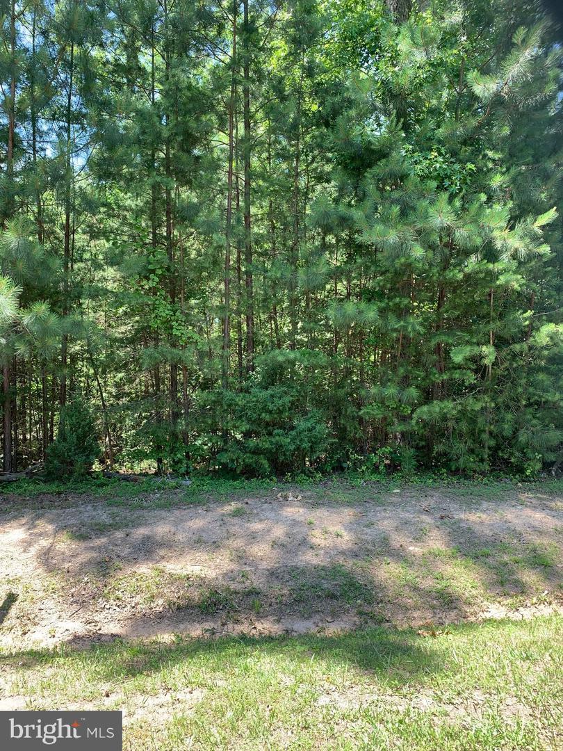 Lot 360 Winchester Trail - Photo 1