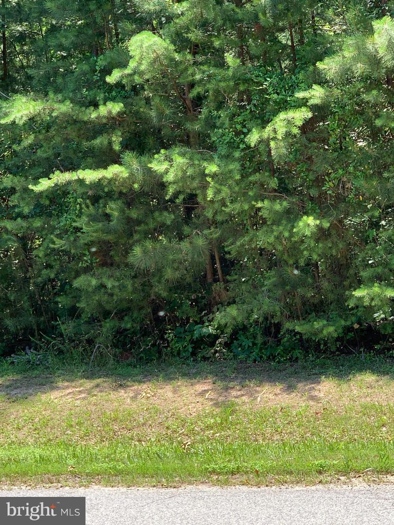 Lake Forest - Photo 1
