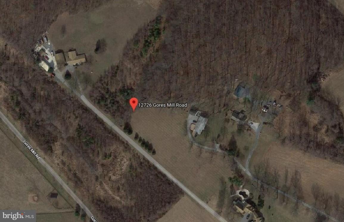 12726 Gores Mill Road - Photo 1