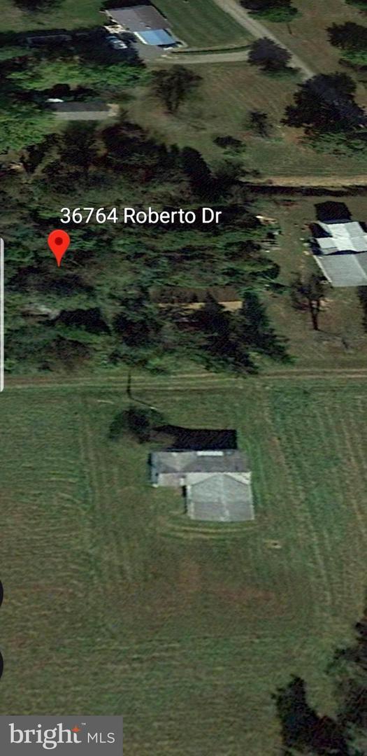 36764 Roberto Dr - Photo 1