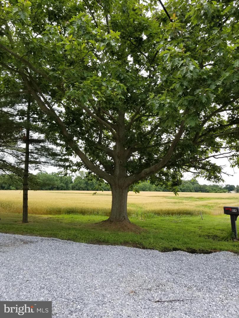 814 Route 45 - Photo 1