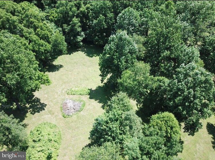 13135 Sagle Road - Photo 1