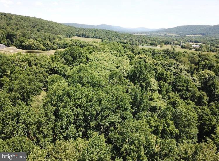 13141 Sagle Road (Lot #2) - Photo 1