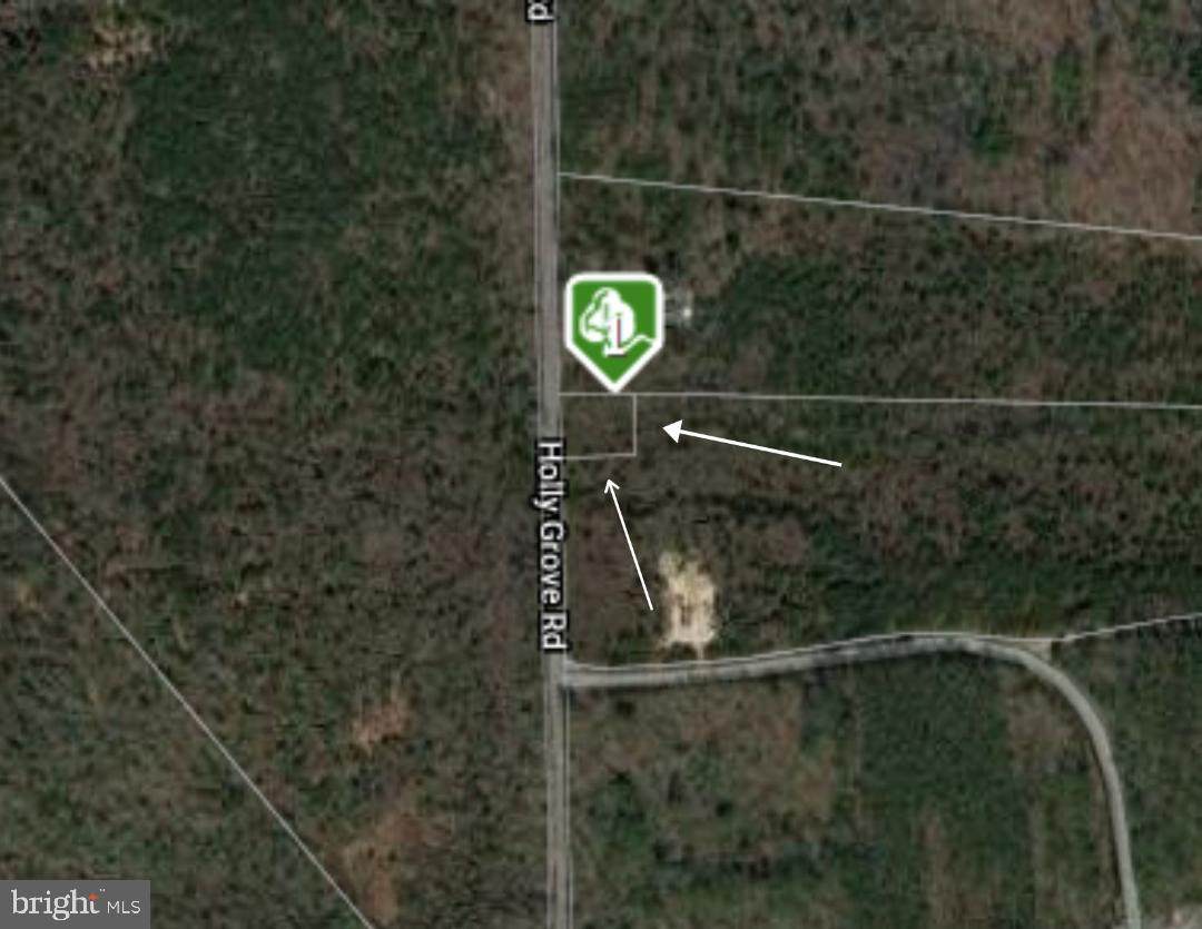 0 Holly Grove Road - Photo 1