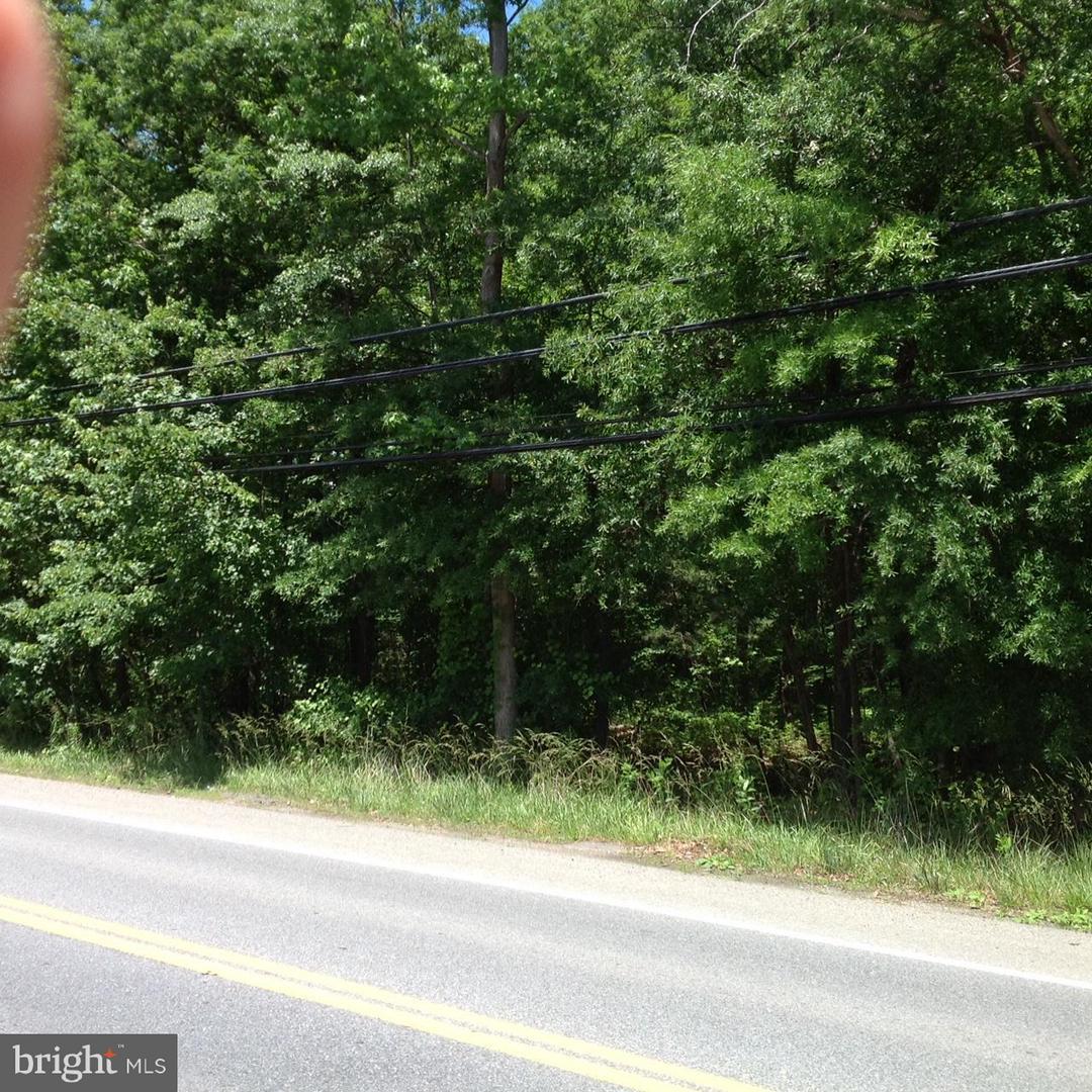 13500 Brandywine Road - Photo 1