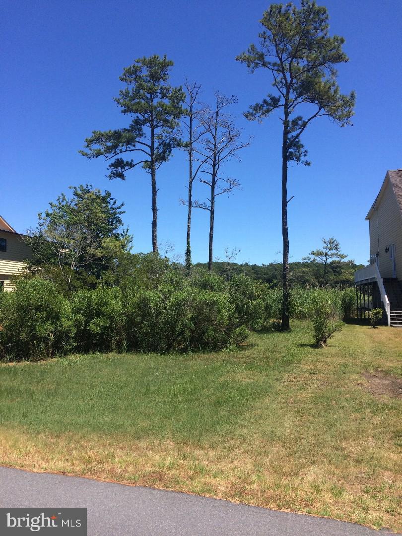938 Heron Drive - Photo 1