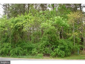 Lot #54 Independence Drive - Photo 1