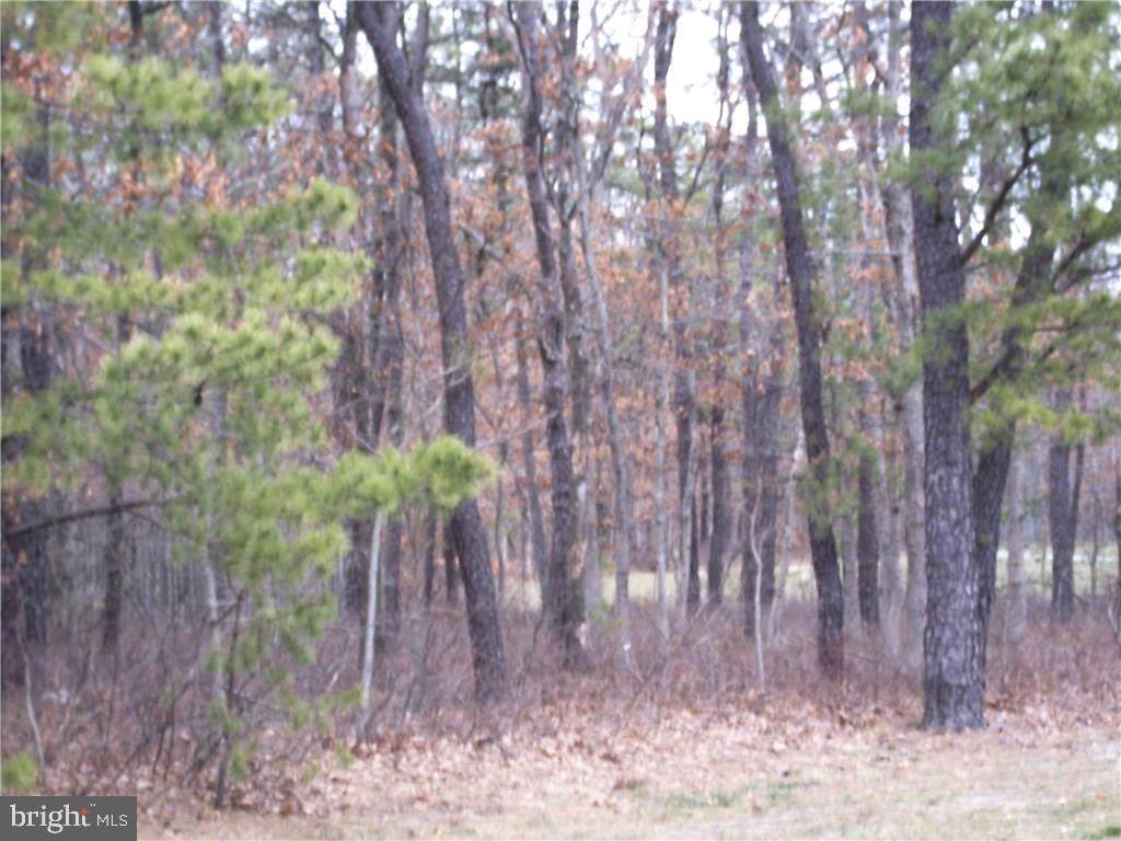 124 Lakeview Drive - Photo 1