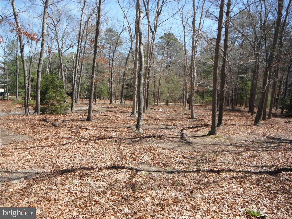 118 Lakeview Drive - Photo 1
