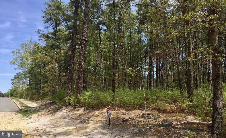 0000 Mc Kinley Avenue - Photo 1