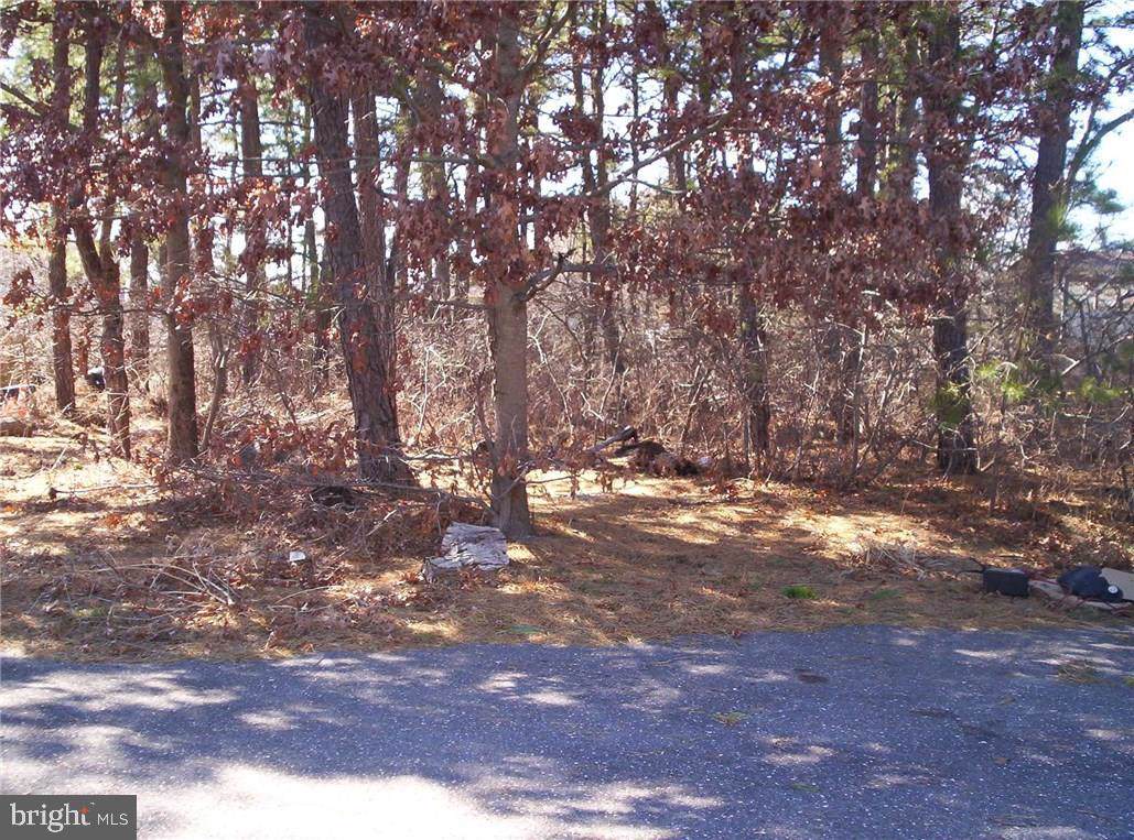 0 Livingston Avenue - Photo 1