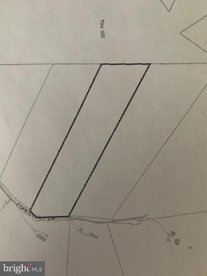 00 Foresthill Road - Photo 1