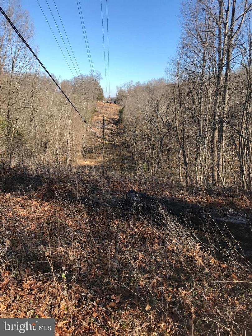 Ike's Crossing Ln - Photo 1