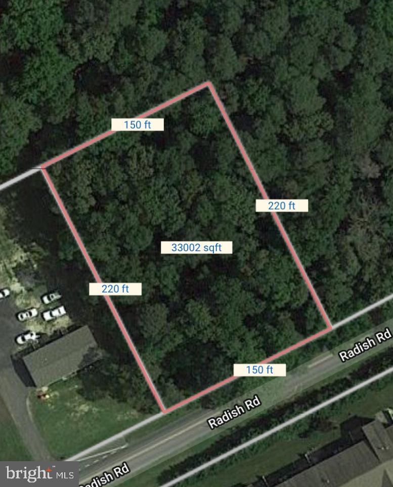 Parcel 44.06 Radish Road - Photo 1