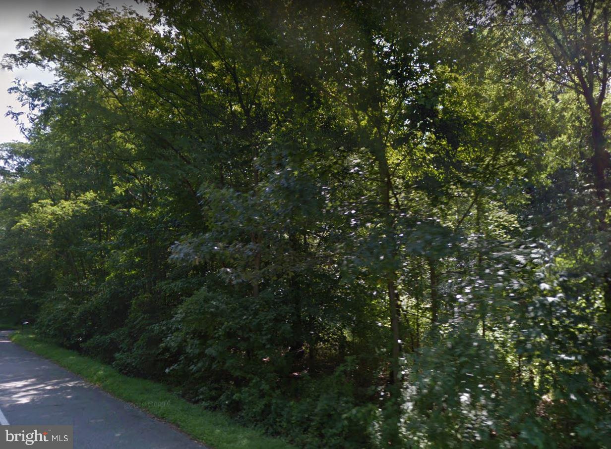 12943 Fletchertown Road - Photo 1