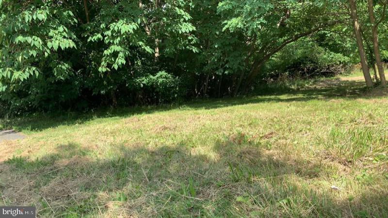 17765 Main Street - Photo 1