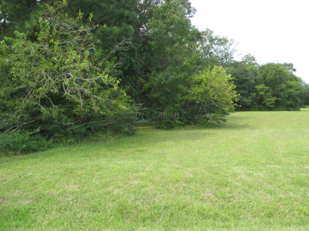 0 Old Fruitland Road - Photo 1