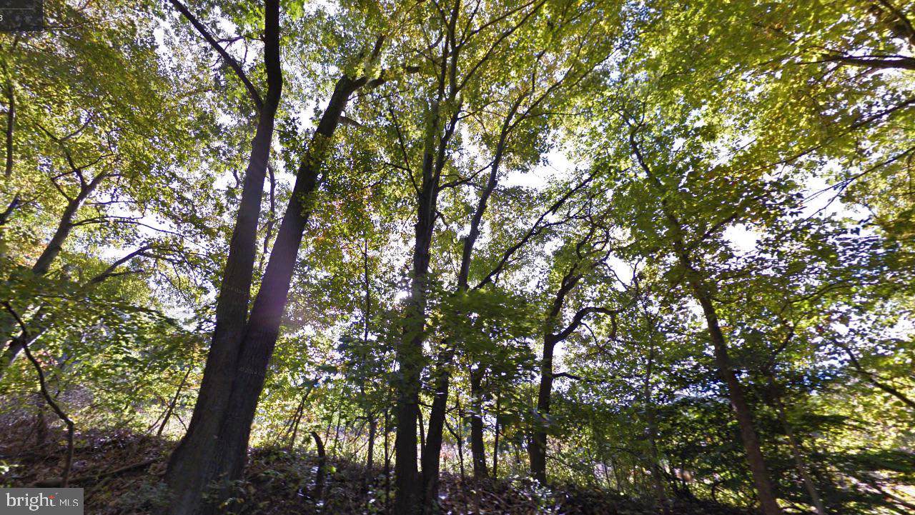 14904 Manor Road - Photo 1