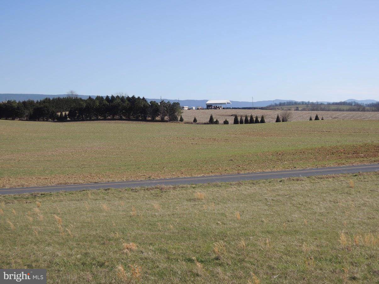 LOT 4-HFCC Pinewoods Road - Photo 1